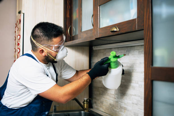 Best Emergency Pest Control  in Crete, NE