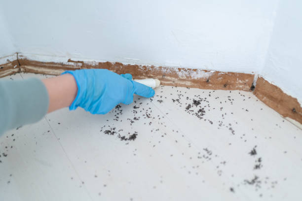 Trusted Crete, NE Pest Control Experts